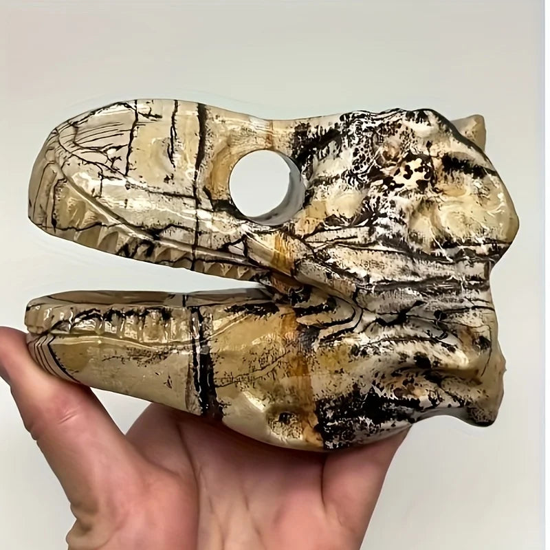Yellow Picture Stone Dinosaur Skull-ToShay.org