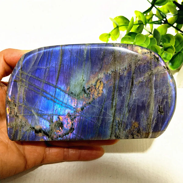 Violet Labradorite Crystal-ToShay.org