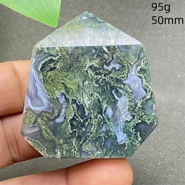 Green Water Plant Agate-ToShay.org