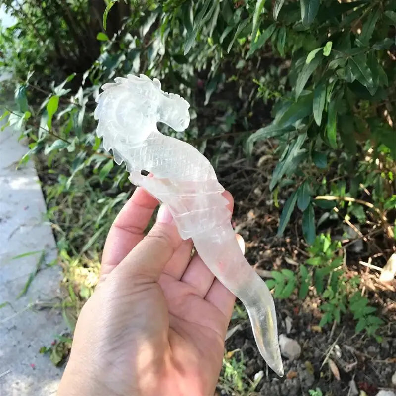 Clear Quartz Seahorse-ToShay.org