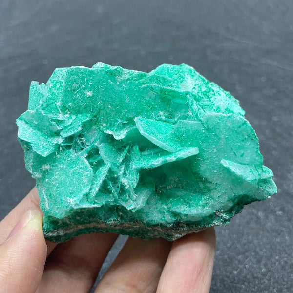 Blue Antlerite Quartz Crystal-ToShay.org