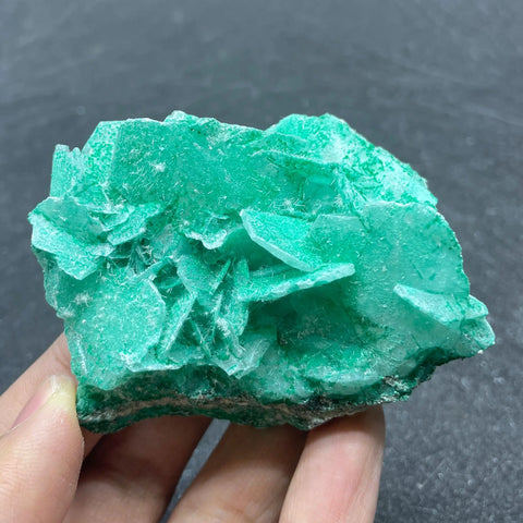 Blue Antlerite Quartz Crystal-ToShay.org