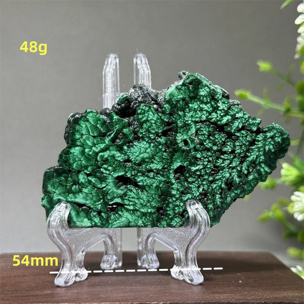 Green Malachite Slice-ToShay.org