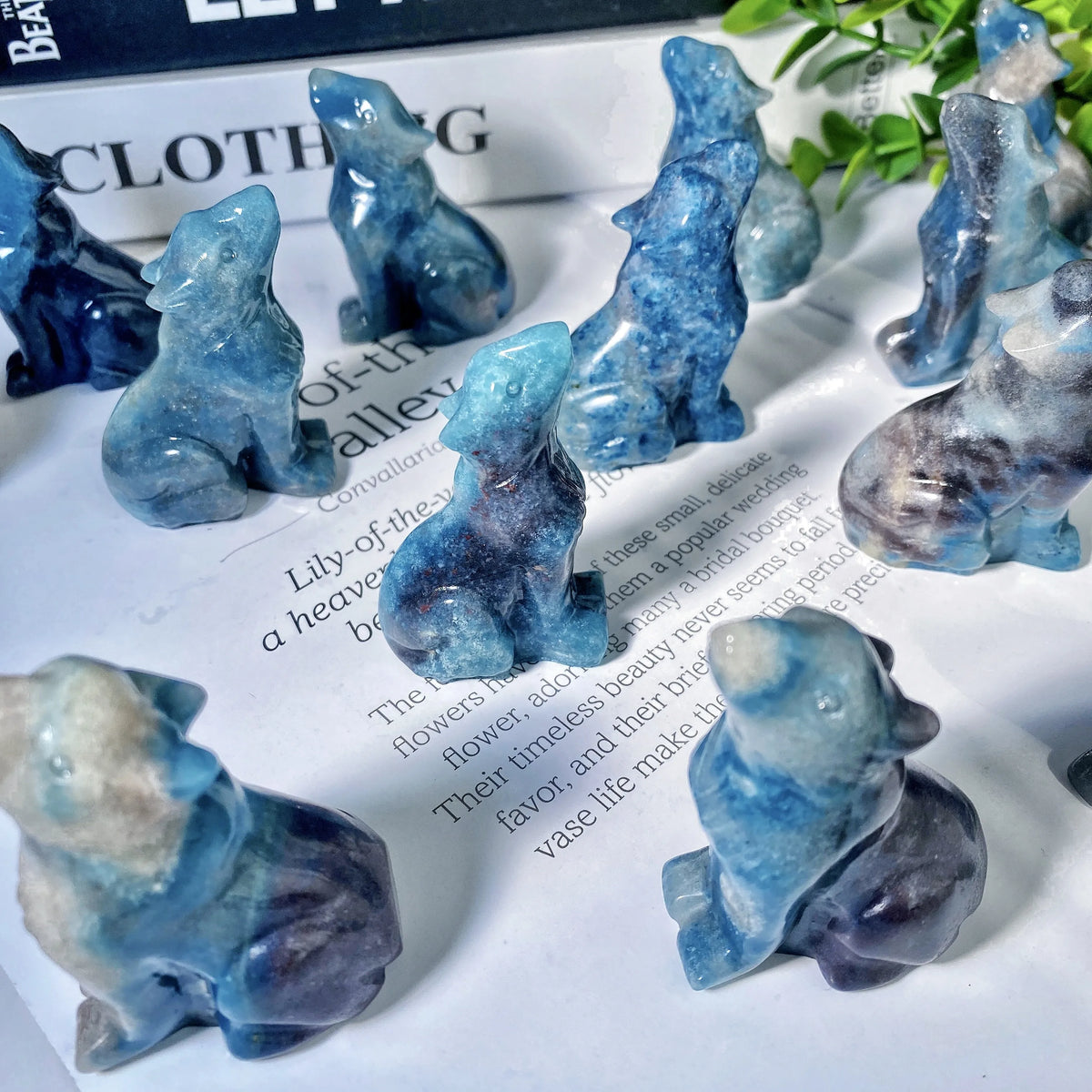 Blue Trolleite Wolf-ToShay.org