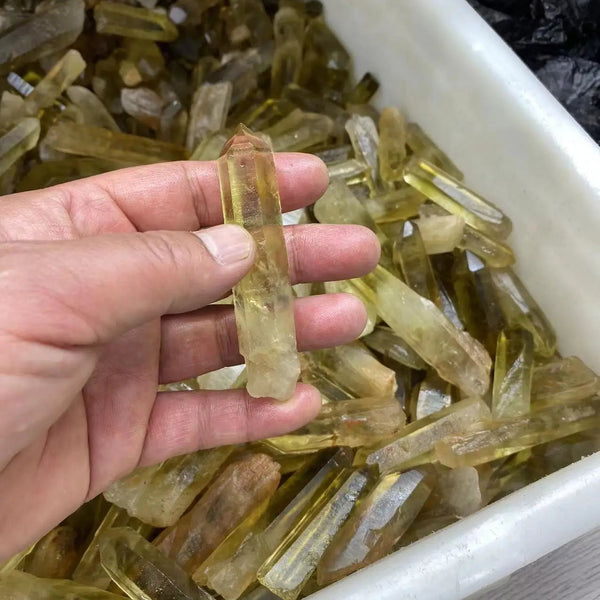 Smoky Lemurian Seed Chips-ToShay.org