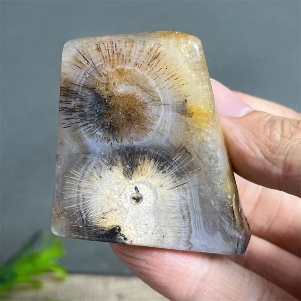 Black Rutilated Hair Raw Quartz-ToShay.org