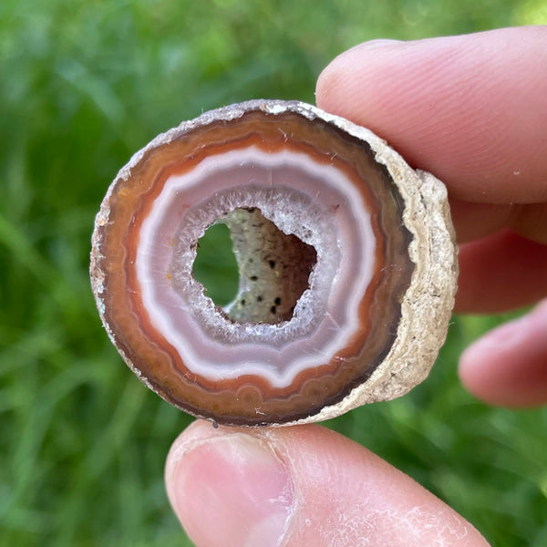 Yellow Agate Geode Egg-ToShay.org