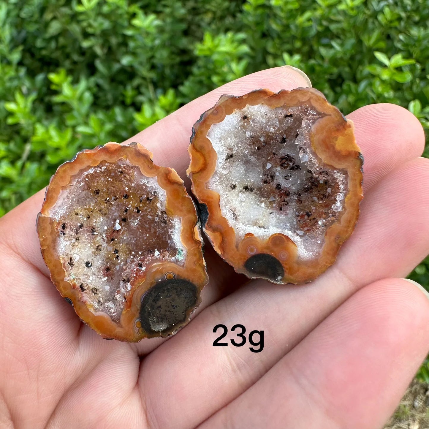 Mixed Agate Crystal Geode-ToShay.org