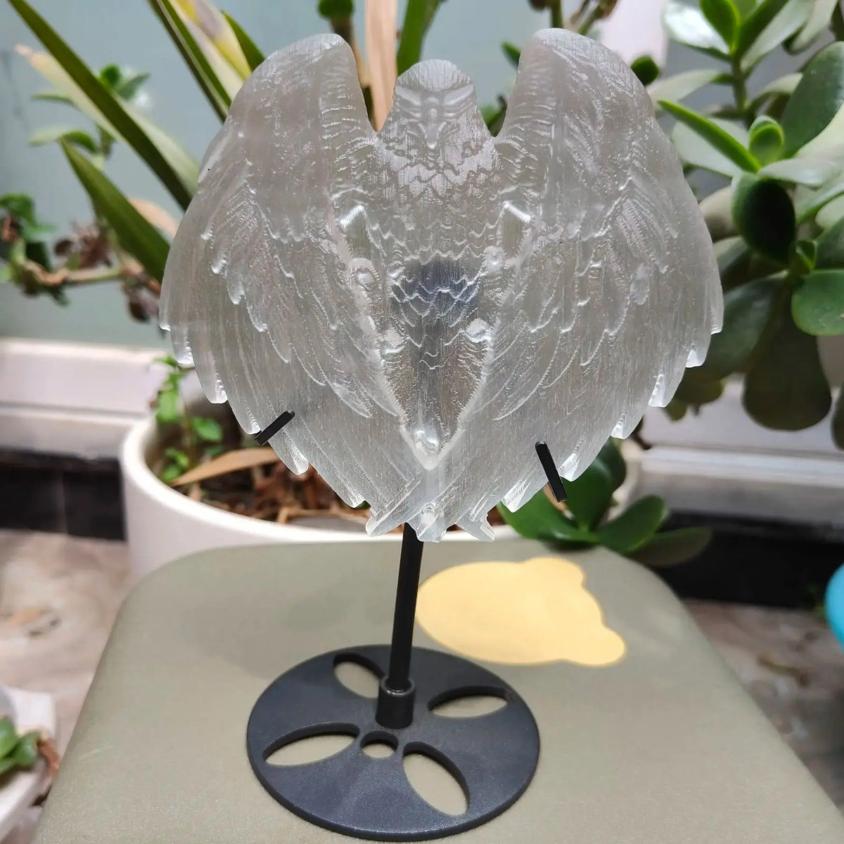 White Selenite Eagle-ToShay.org