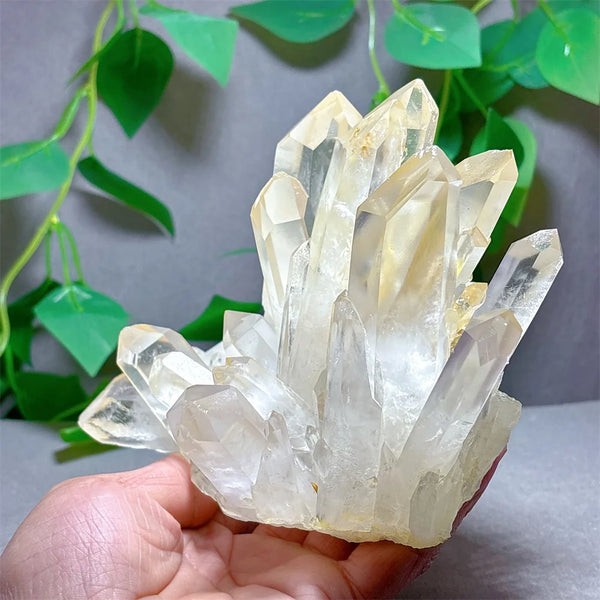 Clear Quartz Crystal Cluster-ToShay.org