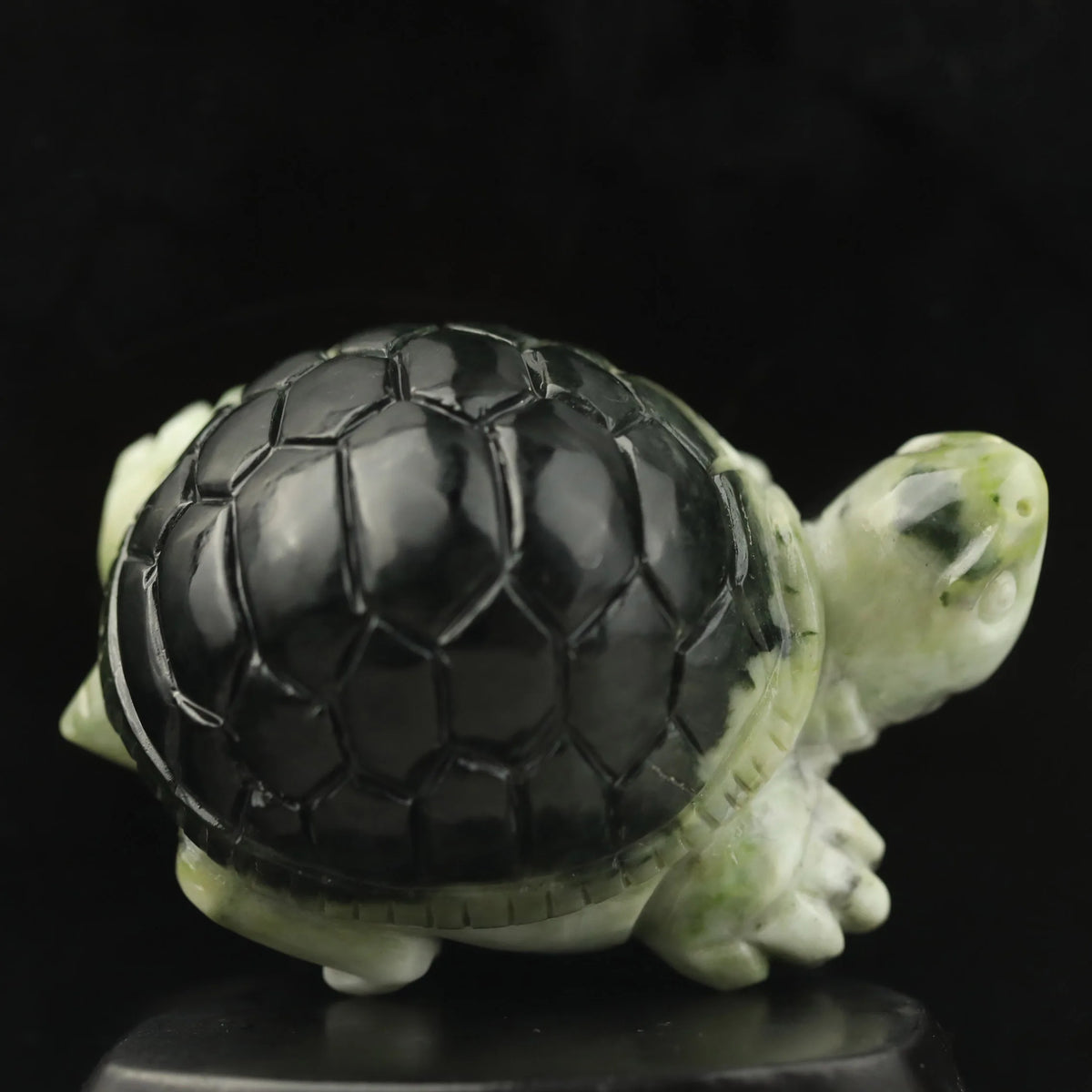 Green Jade Turtle-ToShay.org