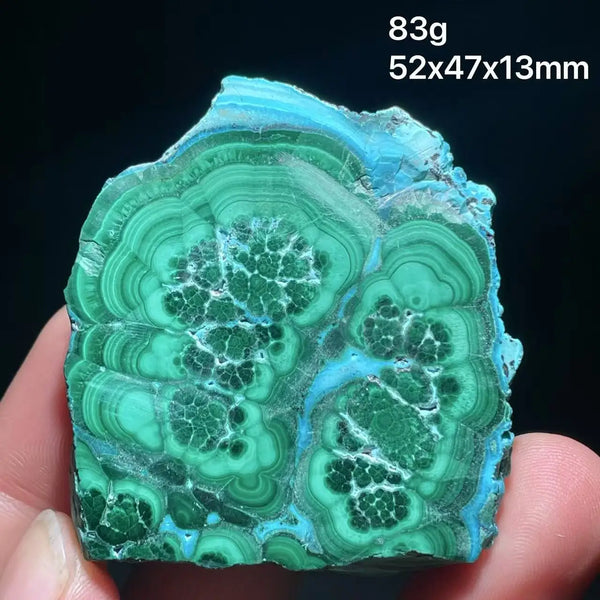 Green Chrysocolla Malachite Slice-ToShay.org