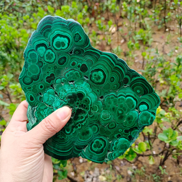 Green Malachite Slice-ToShay.org