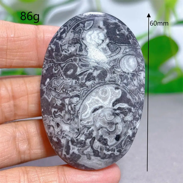 Black White Shellstone-ToShay.org