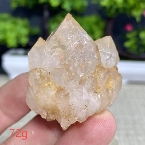 White Quartz Crystal Cluster-ToShay.org