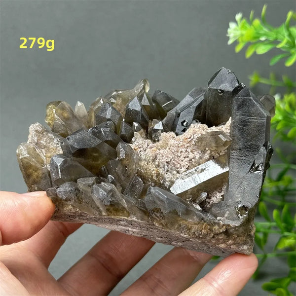 Black Quartz Crystal-ToShay.org