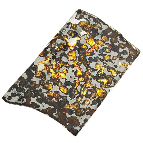 Olive Meteorite Slice-ToShay.org