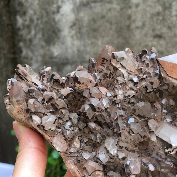 Smokey Quartz Crystal Cluster-ToShay.org