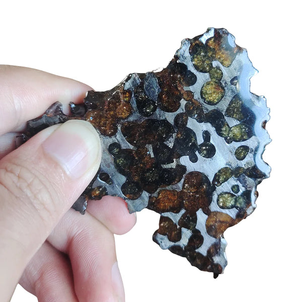 Olive Meteorite Pendant-ToShay.org