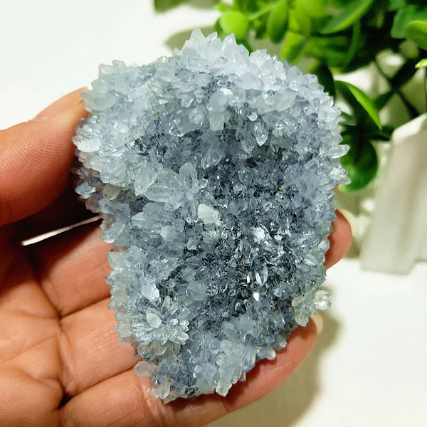 Blue Chrysanthemum Fluorite Cluster-ToShay.org