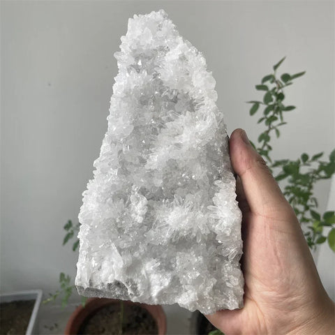 White Crystal Quartz Cluster-ToShay.org