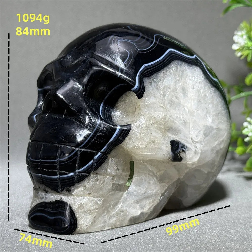Black Agate Skull-ToShay.org