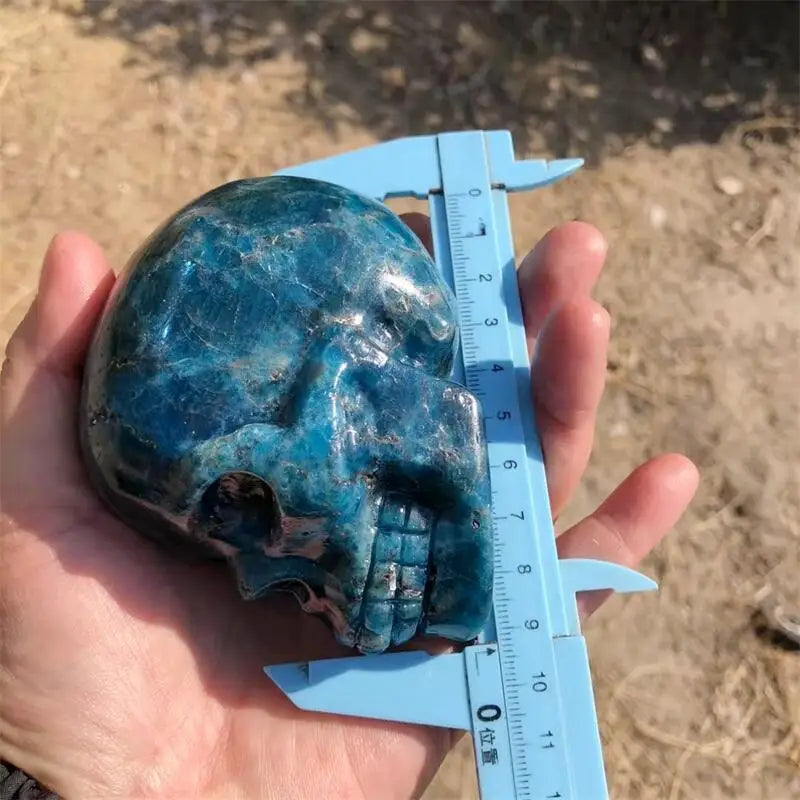 Blue Apatite Skull-ToShay.org