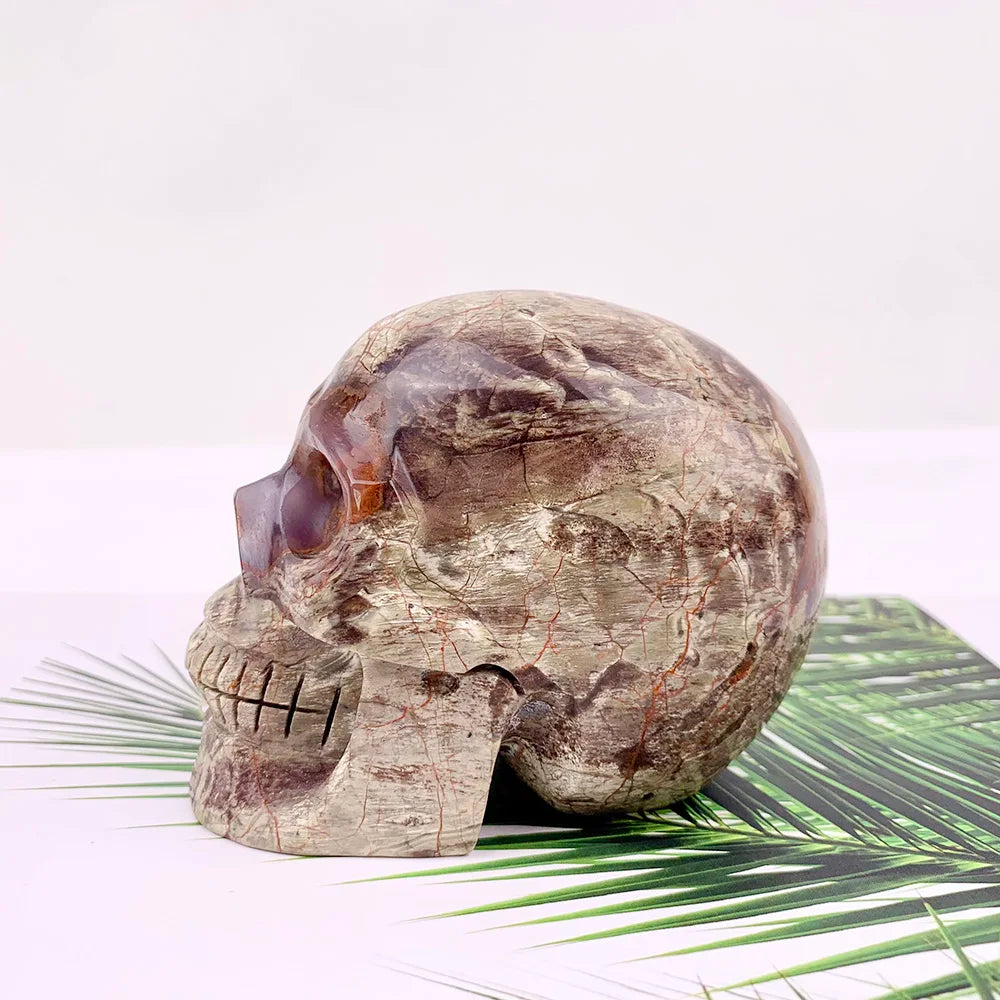 Red Money Agate Skull-ToShay.org