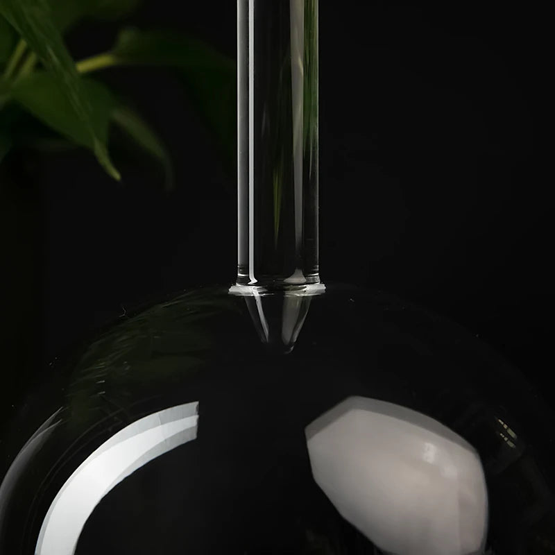 Clear Crystal Handle Bowl-ToShay.org