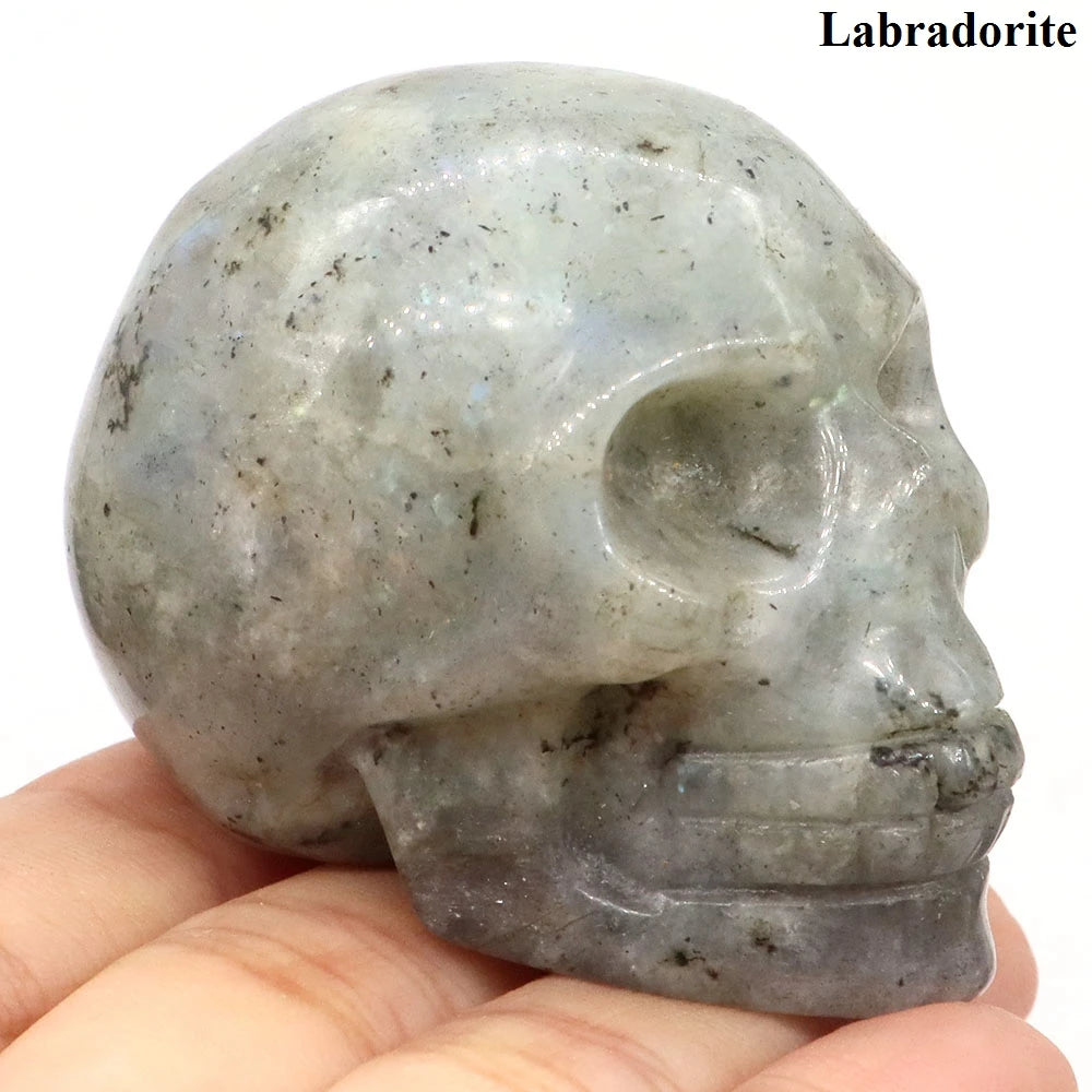 Mixed Crystal Skull-ToShay.org