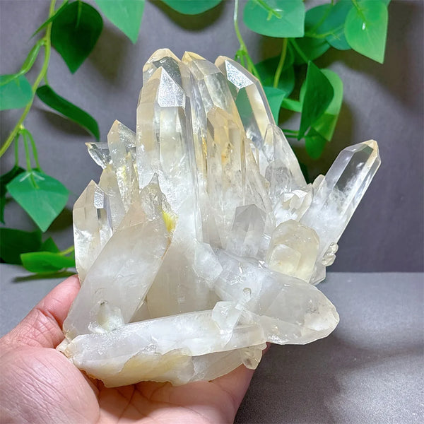 Clear Quartz Crystal Cluster-ToShay.org