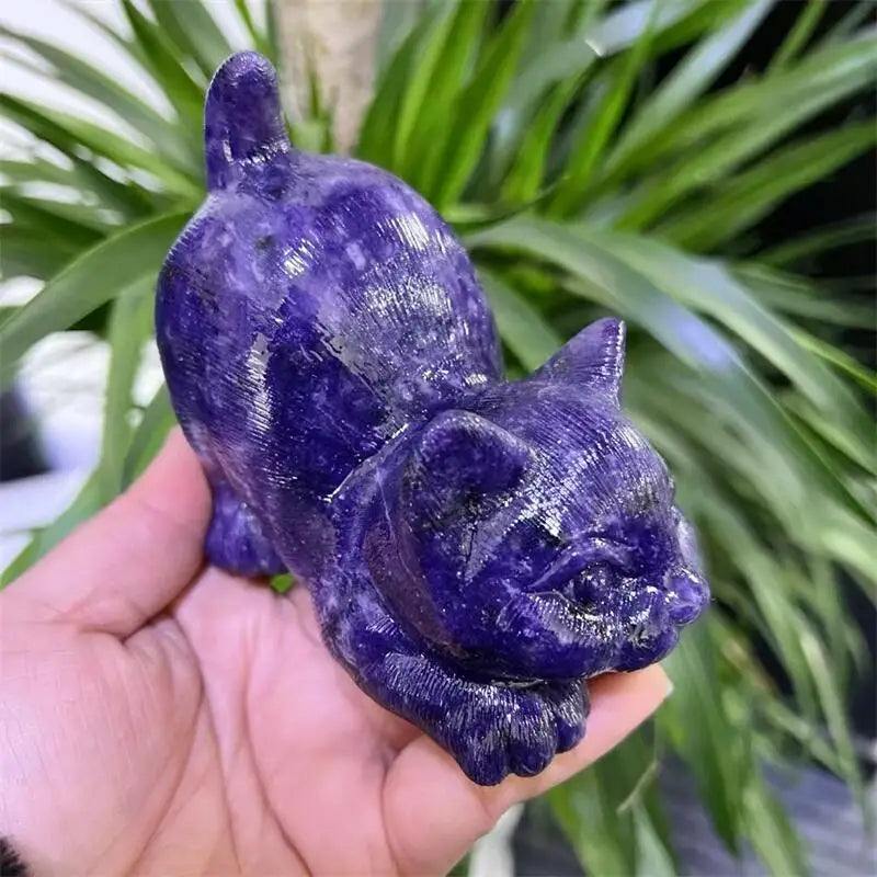 Purple Mica Cat-ToShay.org