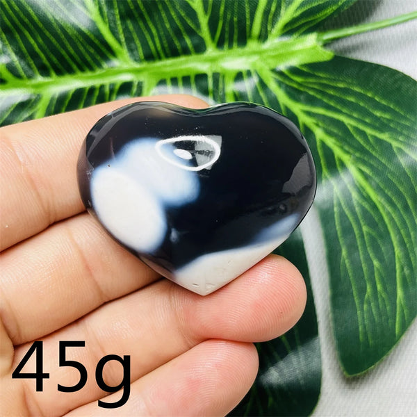 Black White Orca Agate-ToShay.org