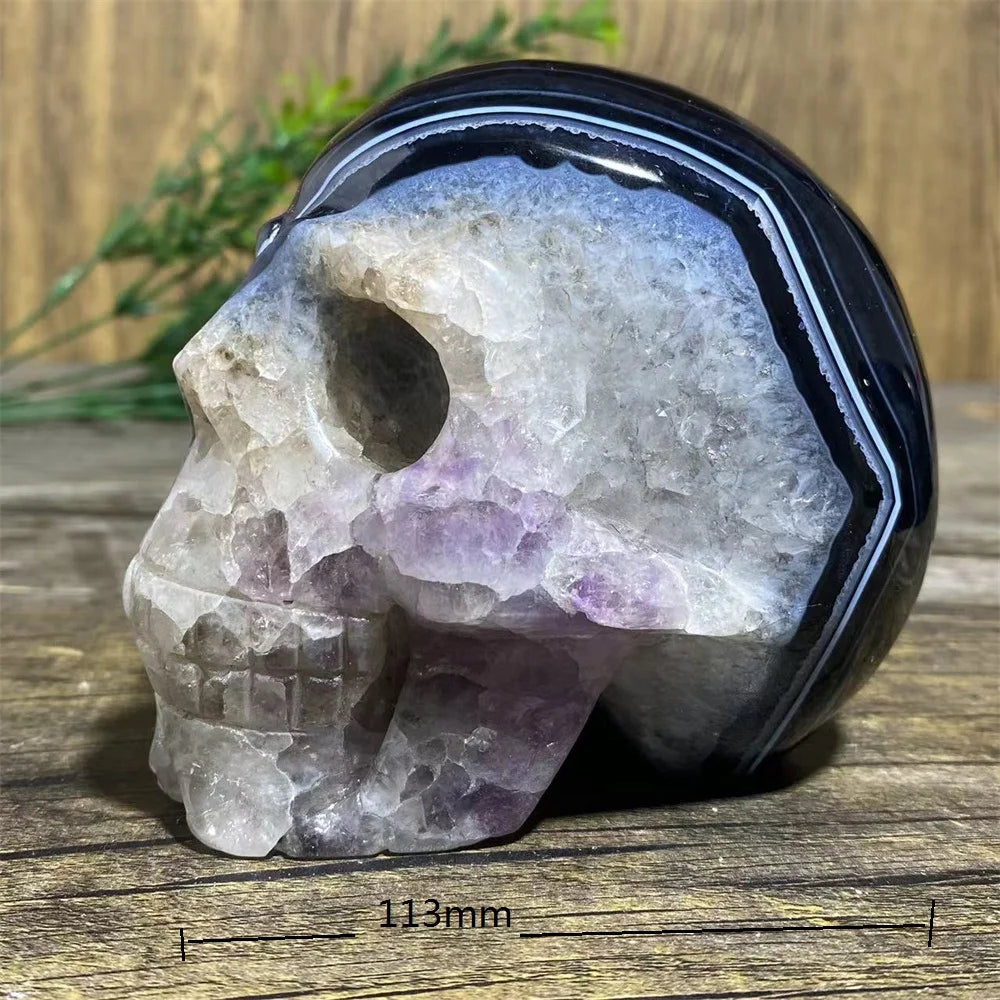 Black Agate Skull-ToShay.org