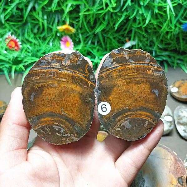 Mixed Crystal Agate-ToShay.org