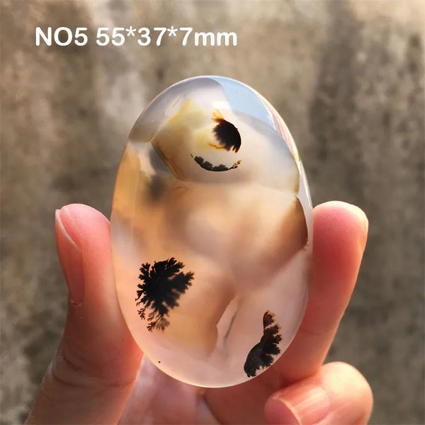 White Chalcedony Grass Agate-ToShay.org