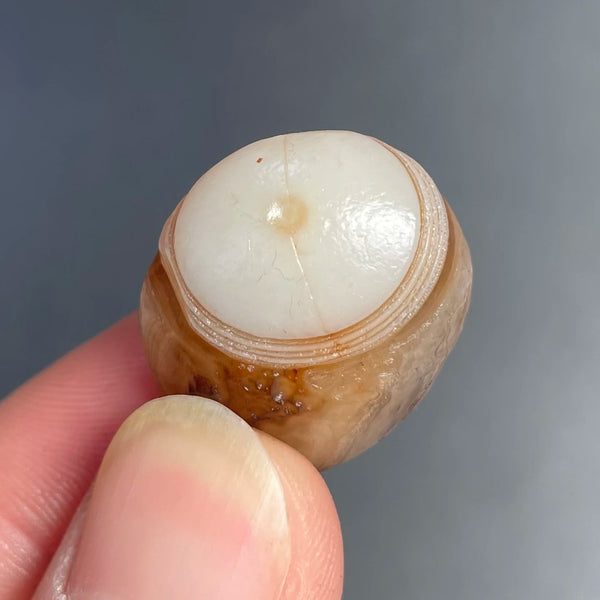 Mixed Gobi Agate Eye Rock-ToShay.org