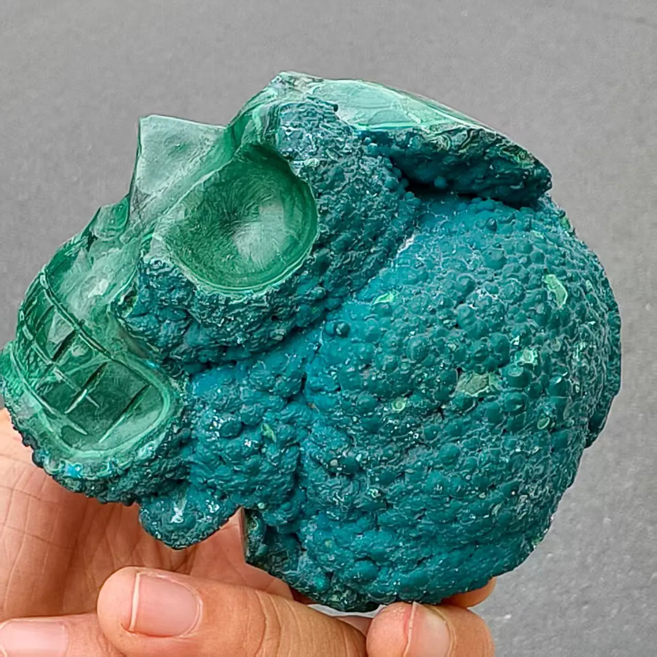 Natural Formed!Blue Malachite Skull,Quartz Crystal Raw Ore Hand-Carved Skull, Mineral, Healing-ToShay.org