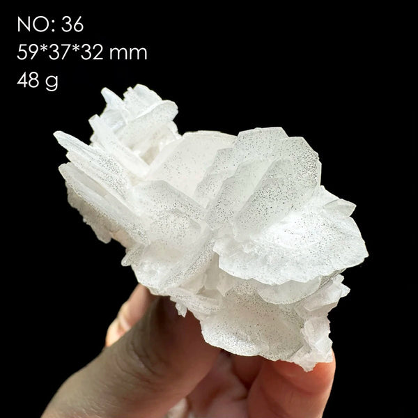 White Calcite Rose-ToShay.org