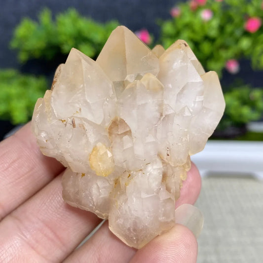 White Quartz Crystal Cluster-ToShay.org