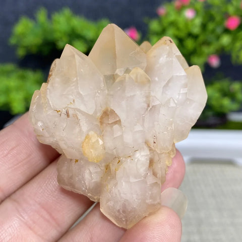 White Quartz Crystal Cluster-ToShay.org