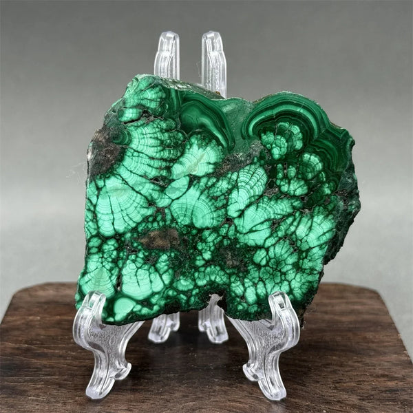 Green Malachite Raw Slice-ToShay.org