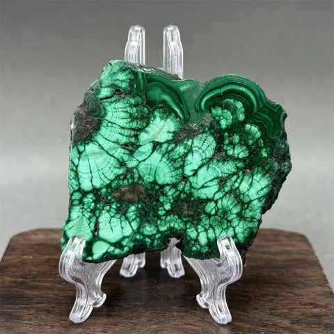 Green Malachite Raw Slice-ToShay.org