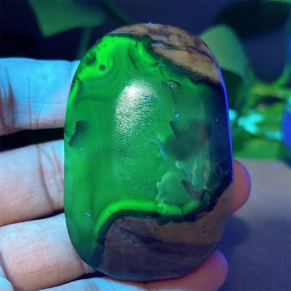 Fire Agate Palm Stone-ToShay.org