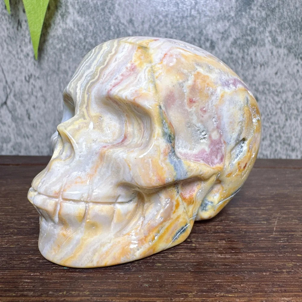 Grey Crazy Lace Agate Skull-ToShay.org