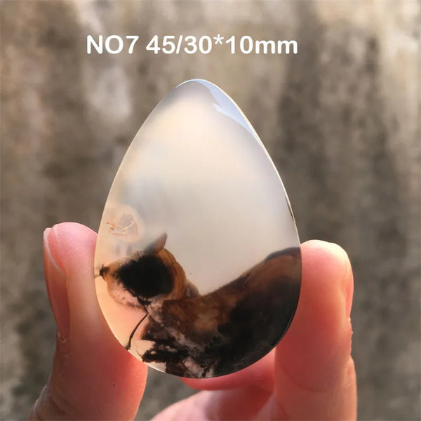 White Chalcedony Grass Agate-ToShay.org
