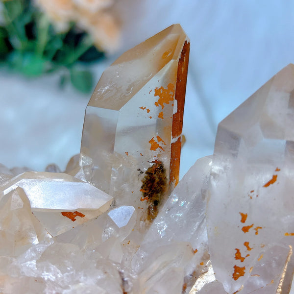 Clear Quartz Crystal Cluster-ToShay.org