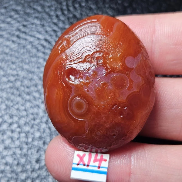 Mixed Gobi Alashan Agate-ToShay.org