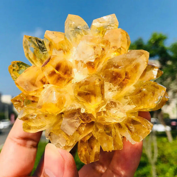 Yellow Phantom Quartz-ToShay.org