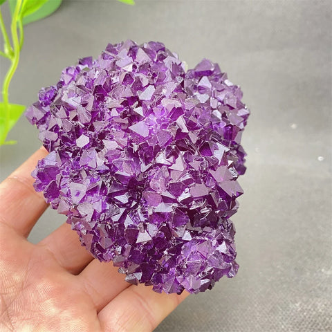 Purple Amethyst Crystal-ToShay.org